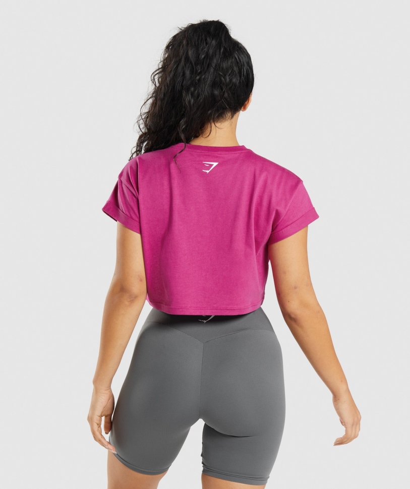 Gymshark Fraction Crop Top Dragon Pink