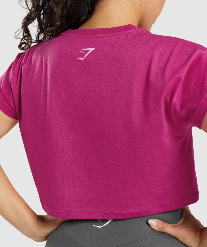 Gymshark Fraction Crop Top Dragon Pink