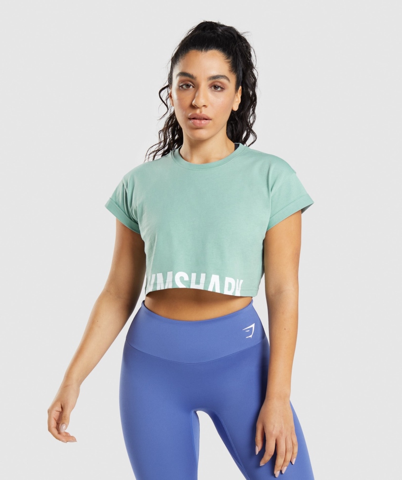 Gymshark Fraction Crop Top Maya Blue