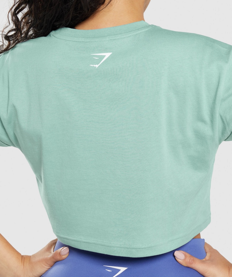Gymshark Fraction Crop Top Maya Blue
