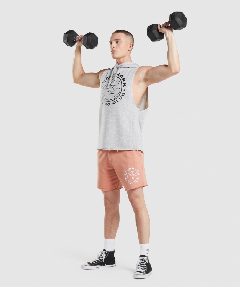 Gymshark Legacy Drop μπράτσο Hoodie ανοιχτό γκρι Core Marl