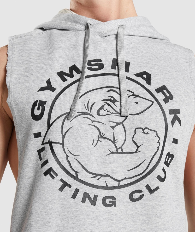 Gymshark Legacy Drop μπράτσο Hoodie ανοιχτό γκρι Core Marl