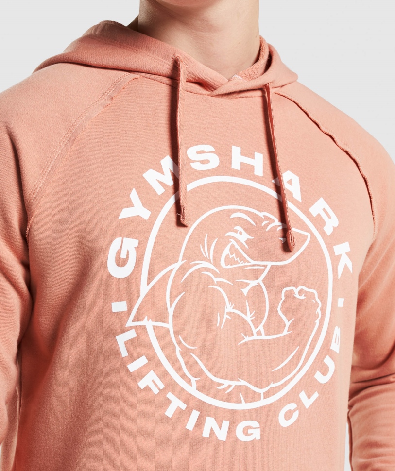 Gymshark Legacy Hoodie Nevada ροζ