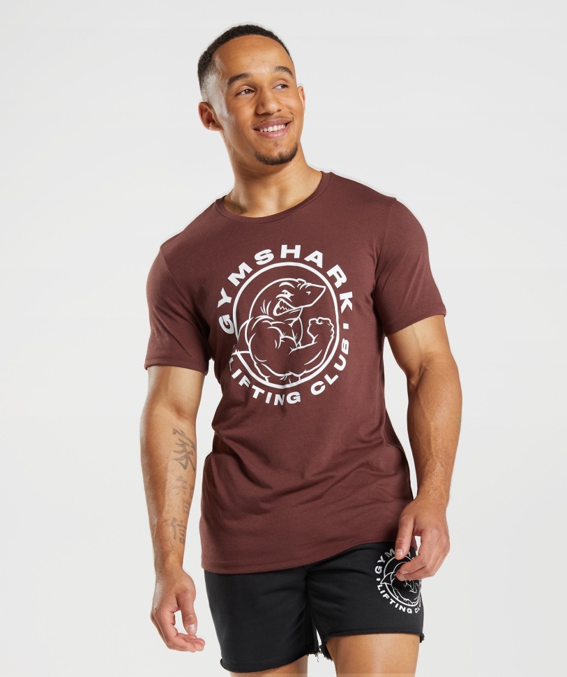 Gymshark Legacy T-shirt σε καφέ κερασι