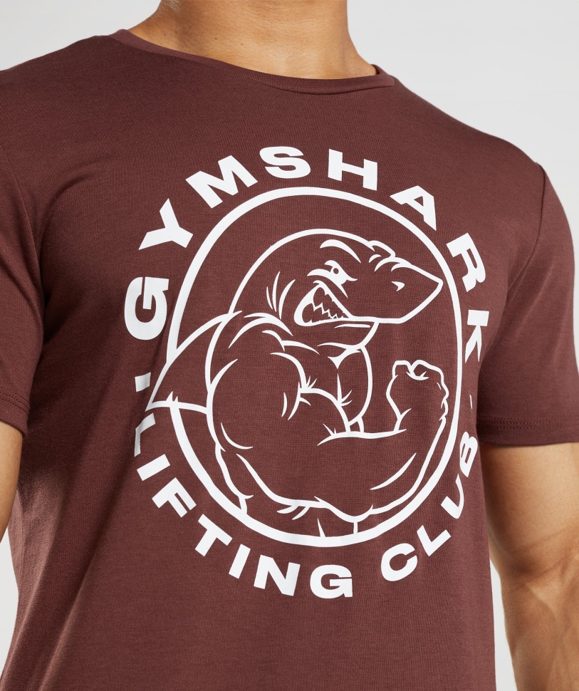 Gymshark Legacy T-shirt σε καφέ κερασι