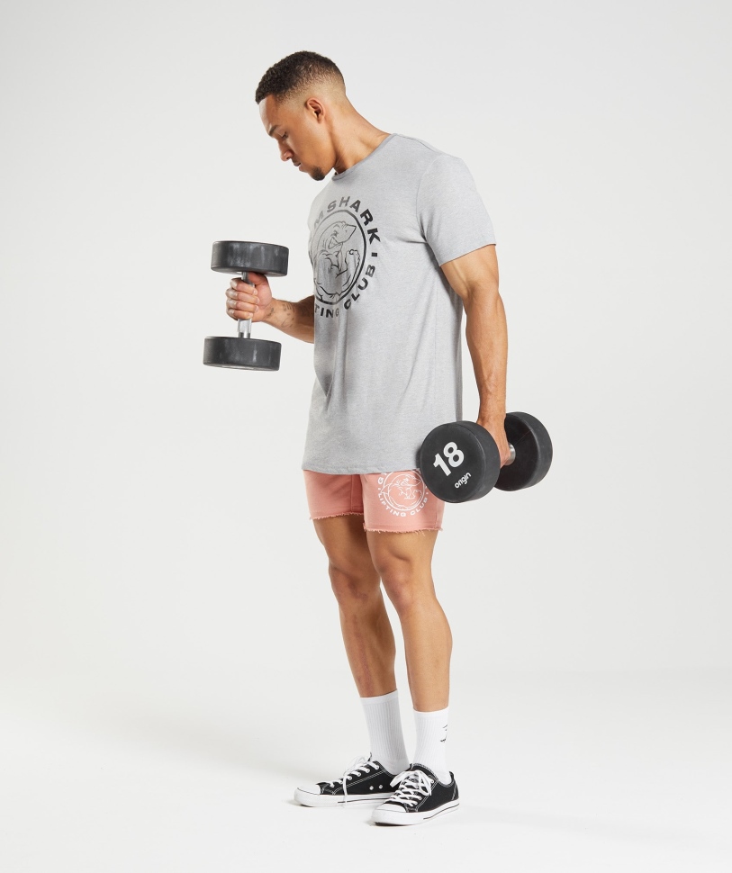 Gymshark Legacy T-shirt ανοιχτό γκρι Core Marl