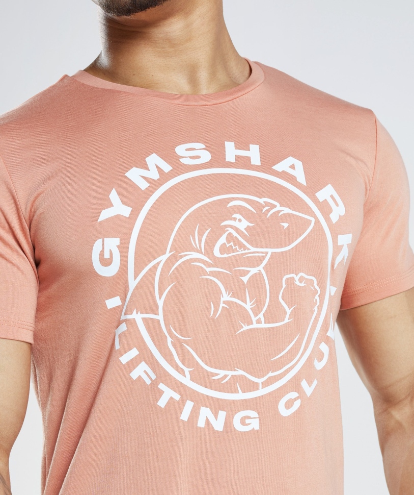 Gymshark Legacy T-shirt Nevada ροζ