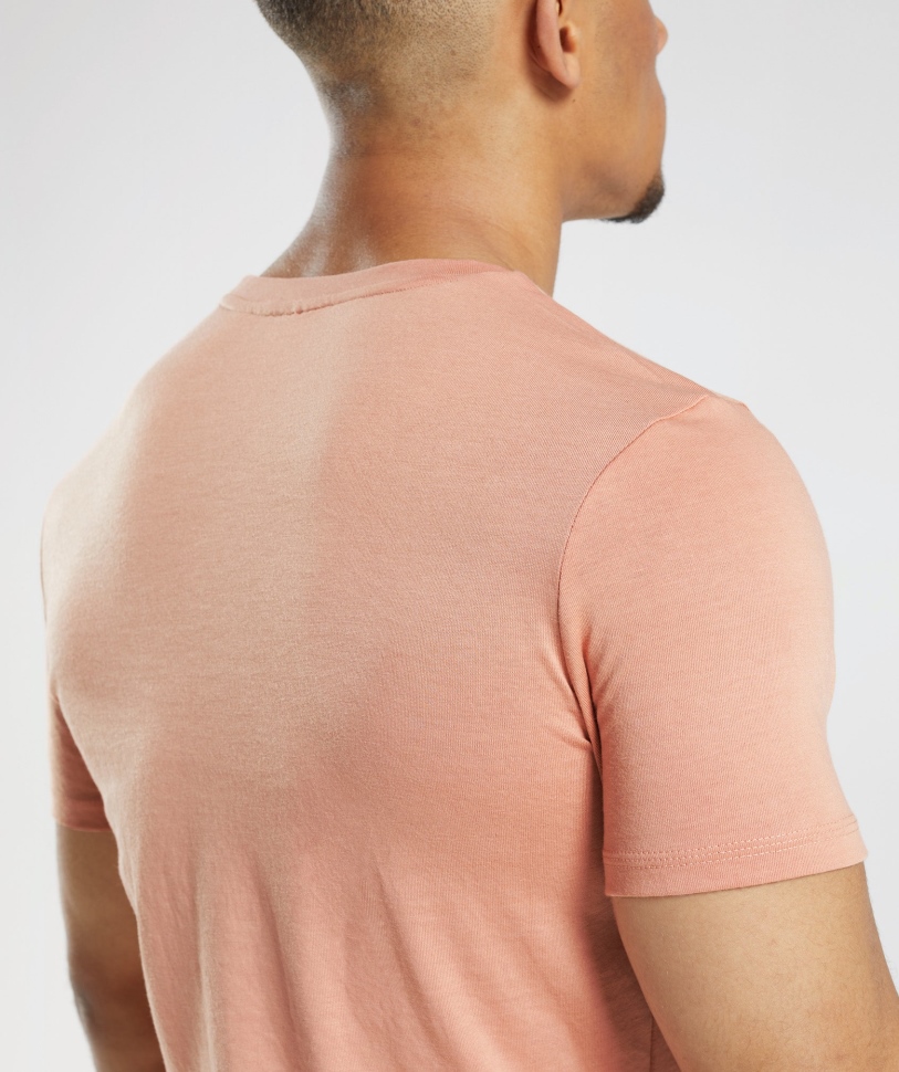 Gymshark Legacy T-shirt Nevada ροζ