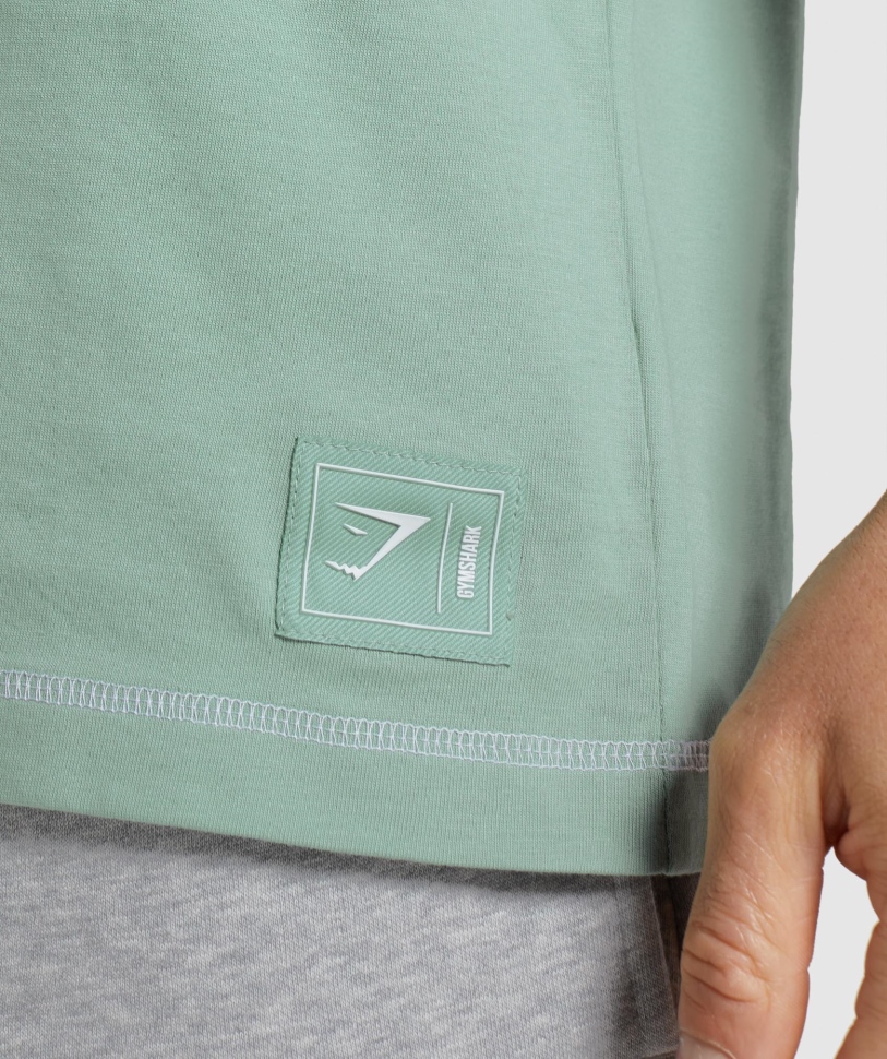 Gymshark εσοχή T-shirt Maya μπλε-λευκό