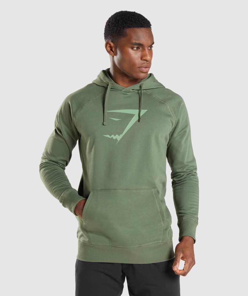 Gymshark Sharkhead Infill Hoodie πράσινο