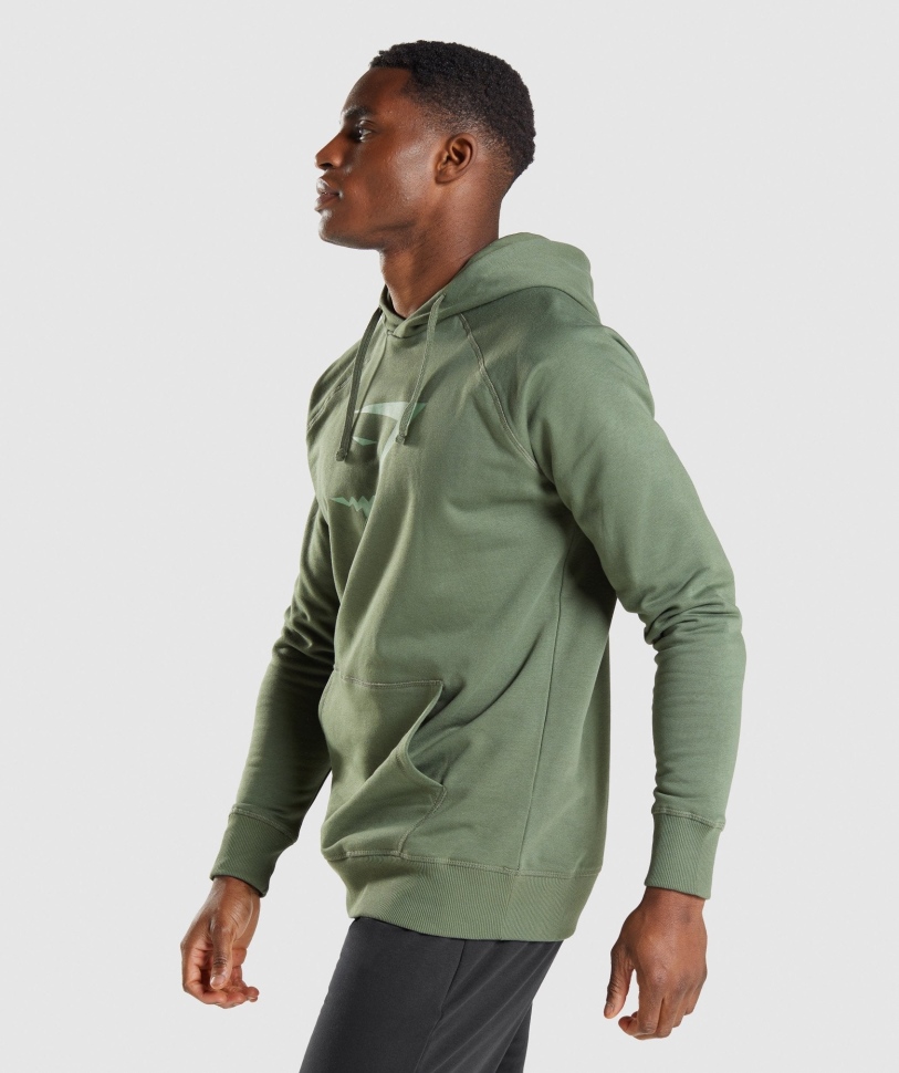 Gymshark Sharkhead Infill Hoodie πράσινο