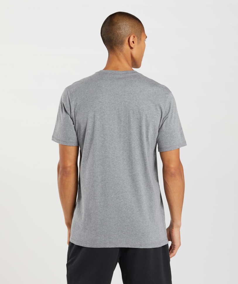 Gymshark Sharkhead Infill T-shirt κάρβουνο γκρι μάργα