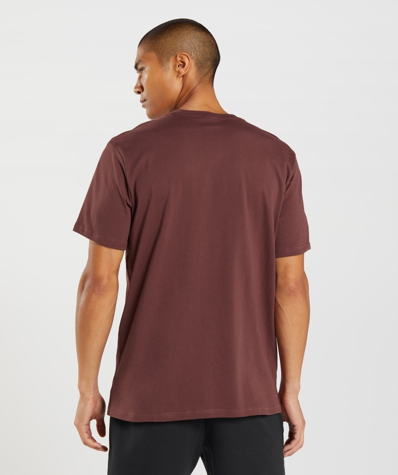 Gymshark Sharkhead Infill T-shirt σε καφέ κερασι