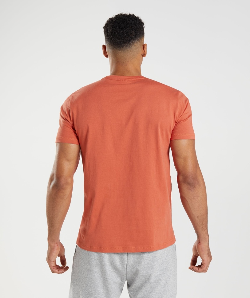 Gymshark Sharkhead Infill T-shirt κόκκινο καταιγίδα