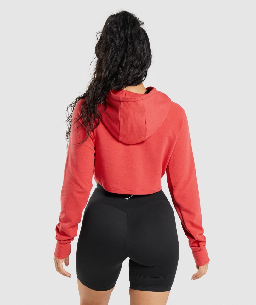 γυμναστήριο προπόνηση Cropped Hoodie ρουμπινί κόκκινο