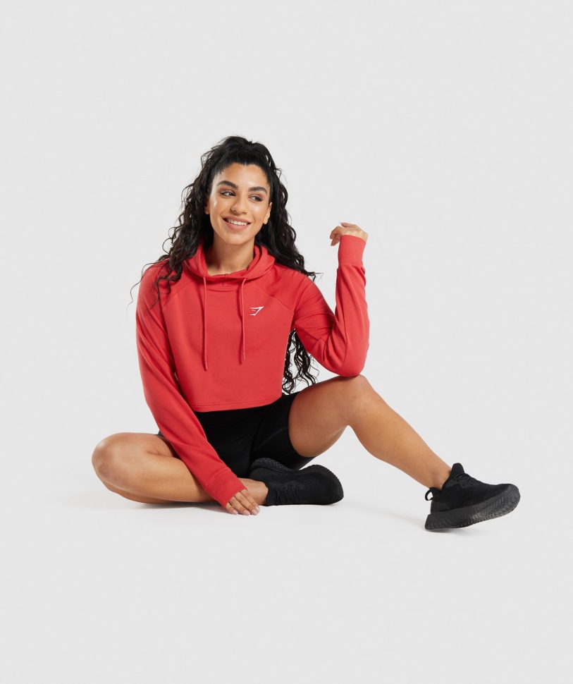 γυμναστήριο προπόνηση Cropped Hoodie ρουμπινί κόκκινο
