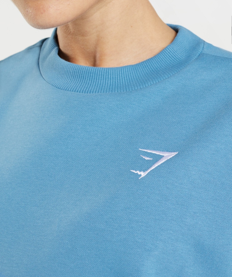 Gymshark προπόνηση μεγάλου μεγέθους φούτερ μπλε παράκτιο