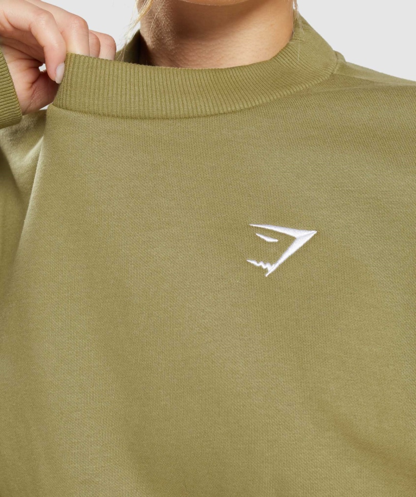 προπόνηση Gymshark μεγάλου μεγέθους φούτερ Griffin Green