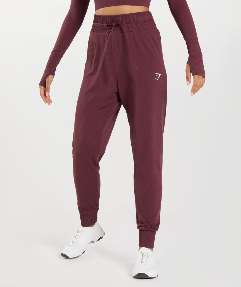 Gymshark ζωτικής σημασίας χωρίς ραφή 2.0 Joggers Baked Maroon Marl