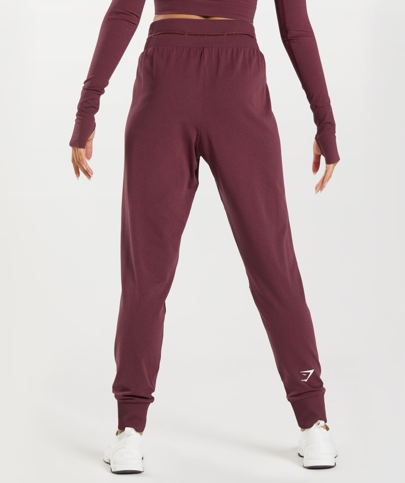 Gymshark ζωτικής σημασίας χωρίς ραφή 2.0 Joggers Baked Maroon Marl