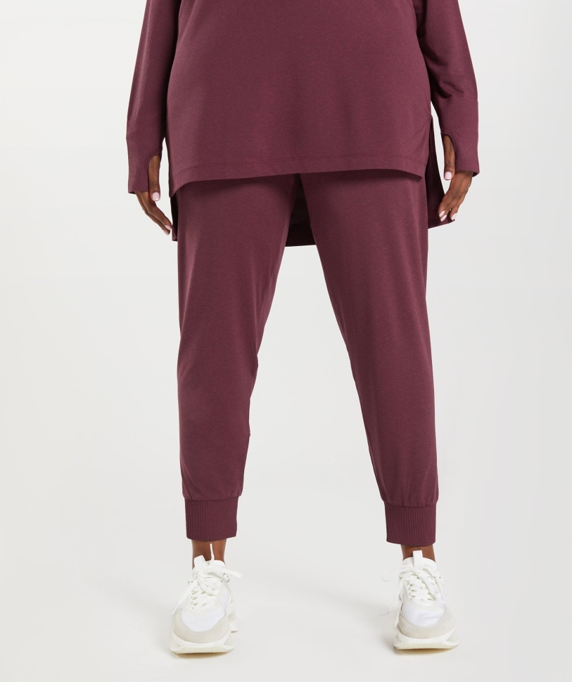 Gymshark ζωτικής σημασίας χωρίς ραφή 2.0 Joggers Baked Maroon Marl