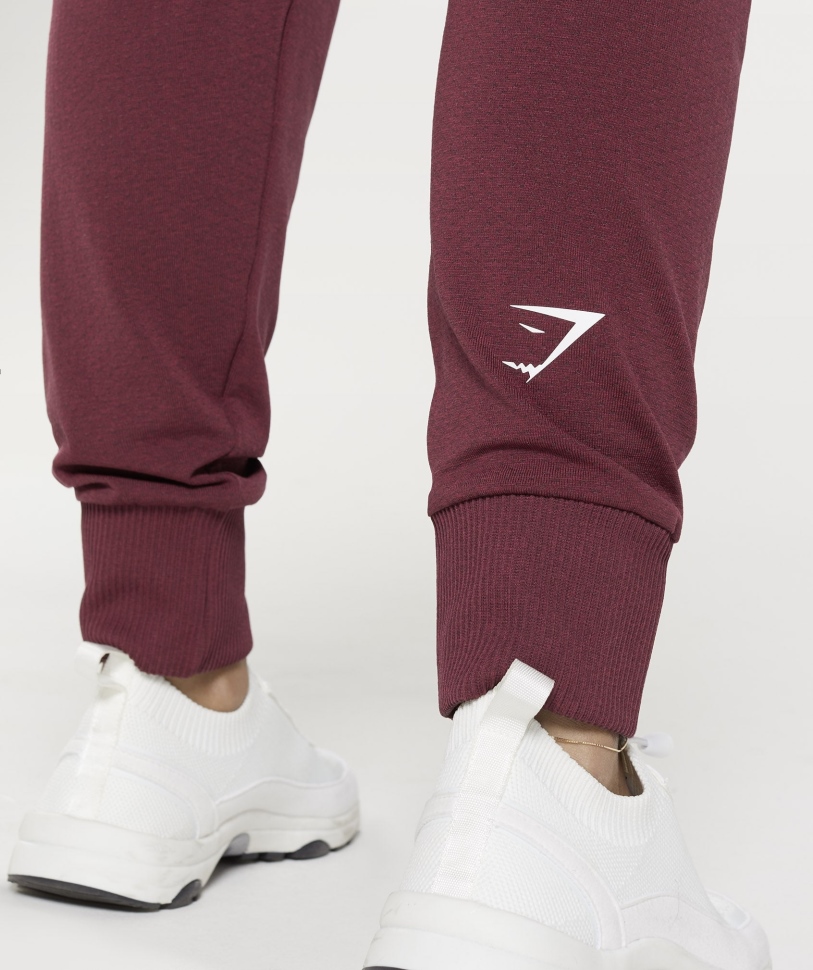 Gymshark ζωτικής σημασίας χωρίς ραφή 2.0 Joggers Baked Maroon Marl