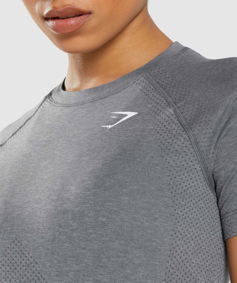 Gymshark Vital χωρίς ραφή 2.0 ελαφρύ μπλουζάκι Smokey Grey Marl