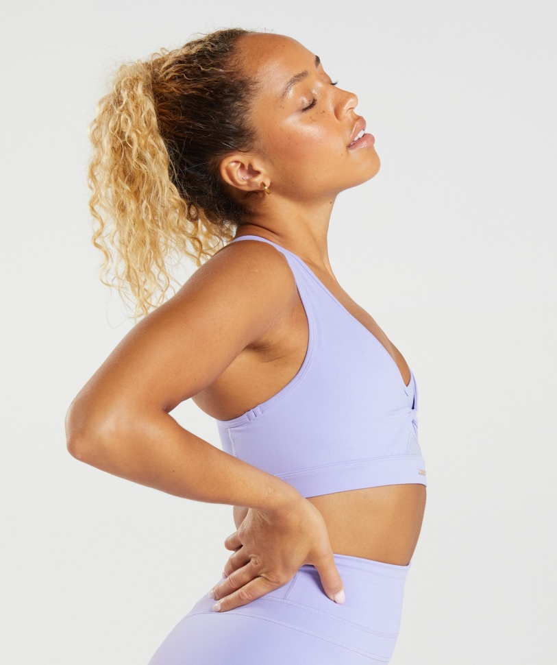 Gymshark Whitney Mesh αθλητικό σουτιέν αγριολούλουδο μωβ